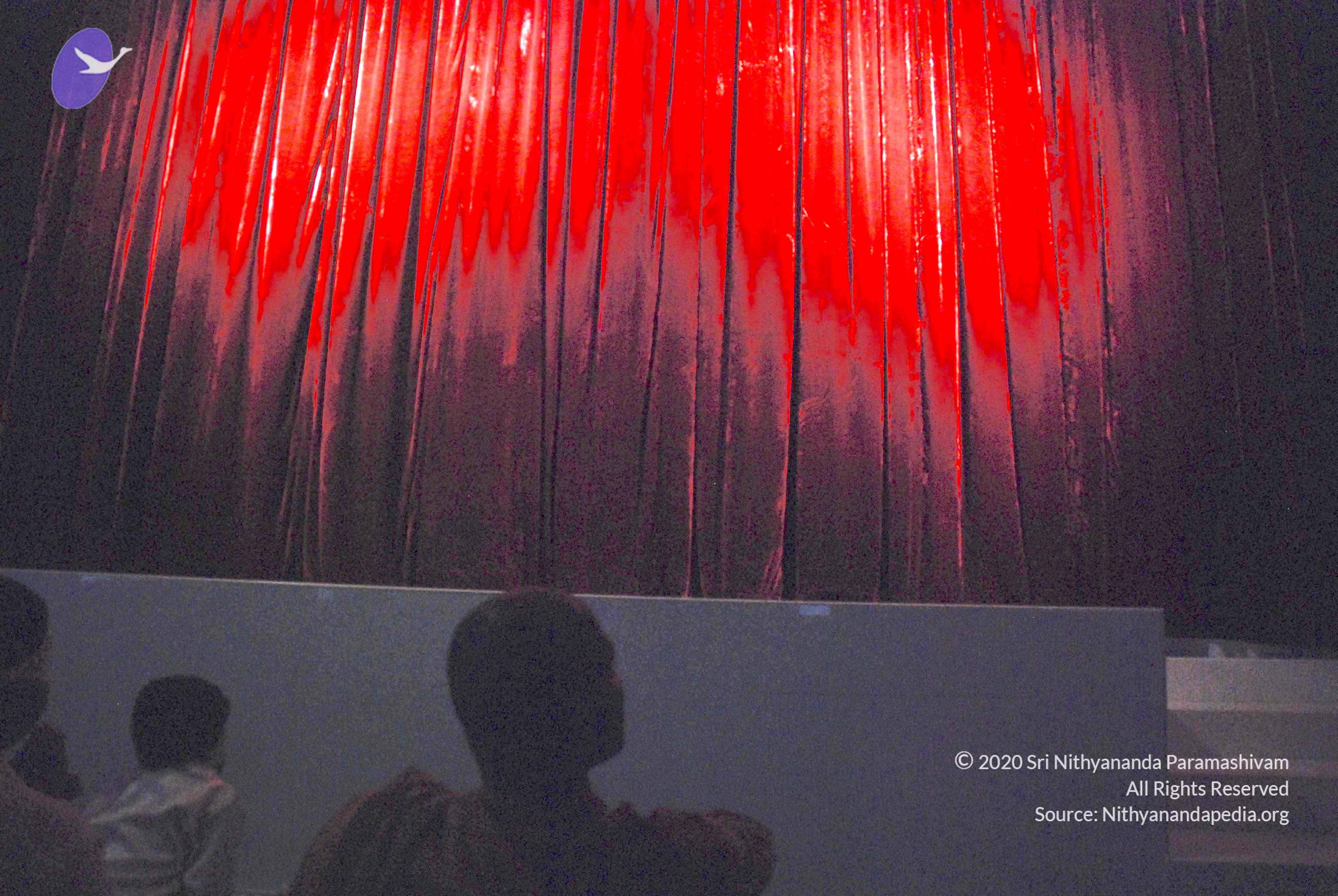 20100808_Photo_1029_DSC_6798_CMP_WM